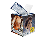 Adventskalender mit 10.- Gutschein oder hher
