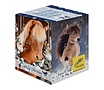 Adventskalender mit 10.- Gutschein oder hher