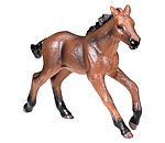 Play series Appaloosafohlen