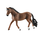 Trakehner Wallach