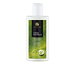 Crème Naturelle