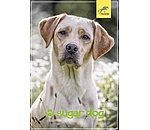 Geschenkgutschein zum Ausdrucken