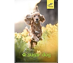 Geschenkgutschein zum Ausdrucken