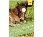 Geschenkgutschein zum Ausdrucken