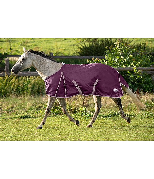 Fliegendecke Breeze