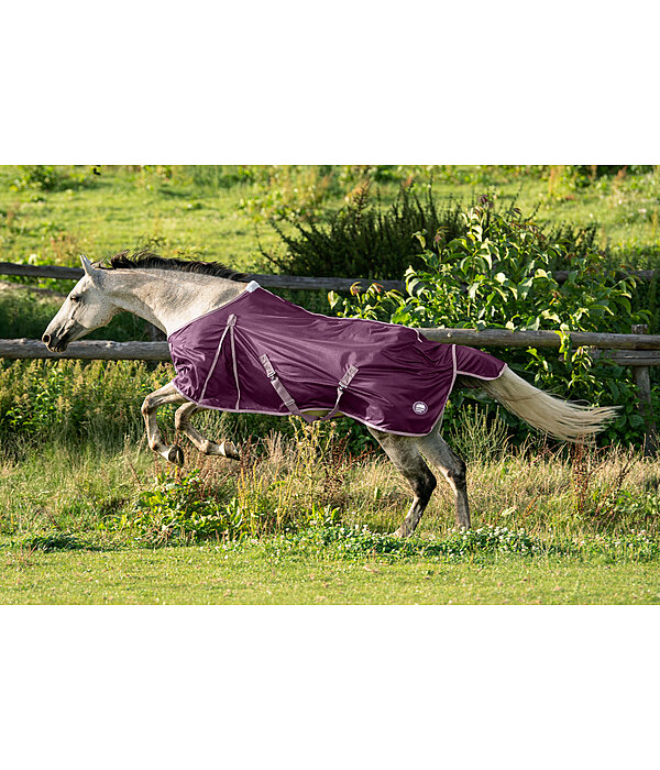 Fliegendecke Breeze