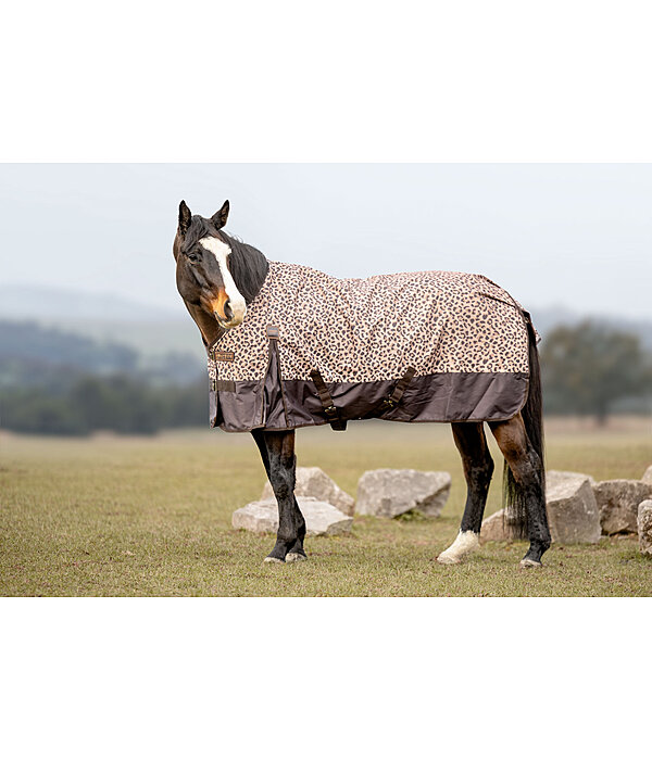 Regendecke Billy
