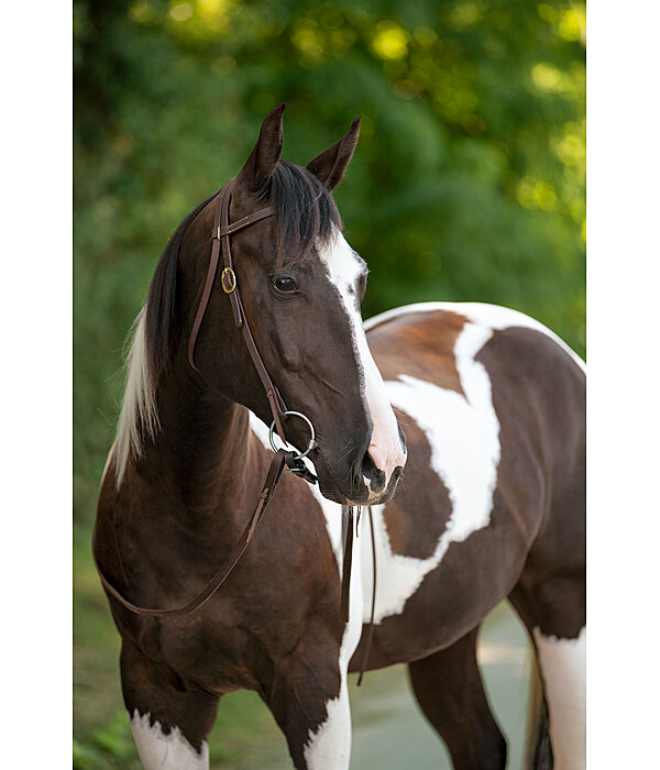 Trainingskopfst�ck Harness