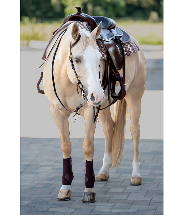 Einohr-Trainingskopfstck Harness