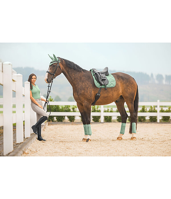 Schabracke Essential Standard