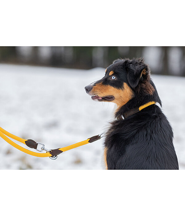 Hundehalsband Rope