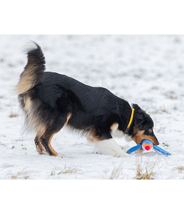 Hundehalsband Rope