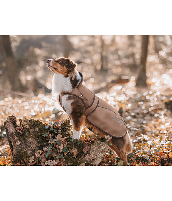 Nylon-Hundemantel Ally 2 in 1