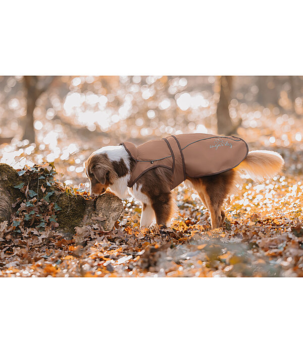 Nylon-Hundemantel Ally 2 in 1