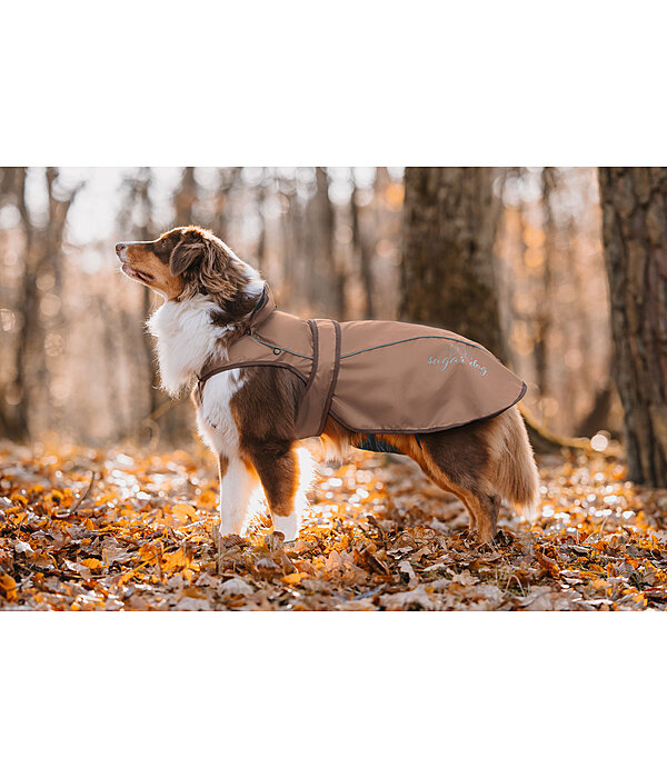 Nylon-Hundemantel Ally 2 in 1