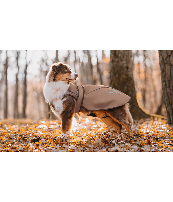 Nylon-Hundemantel Ally 2 in 1