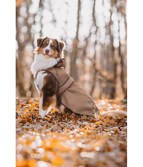 Nylon-Hundemantel Ally 2 in 1