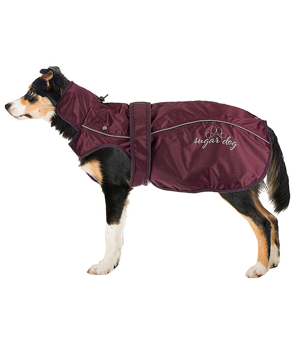 Nylon-Hundemantel Ally 2 in 1