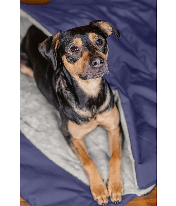 Hunde Schlafsack Sirius