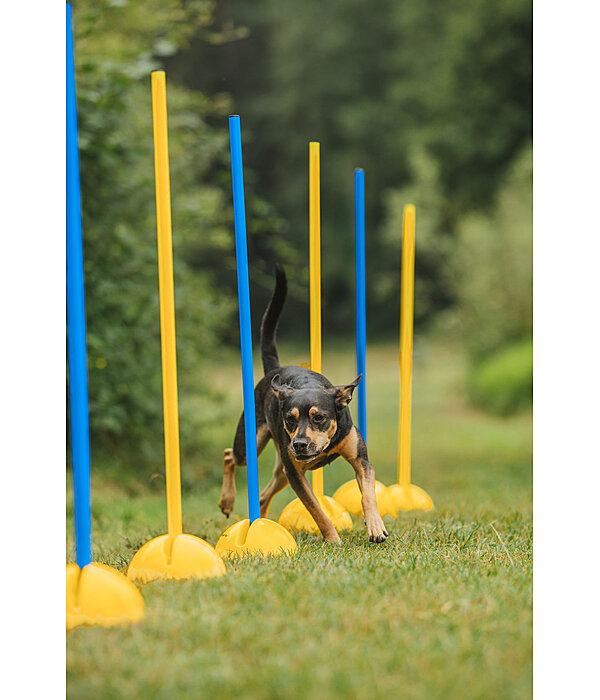 Agility Stangen