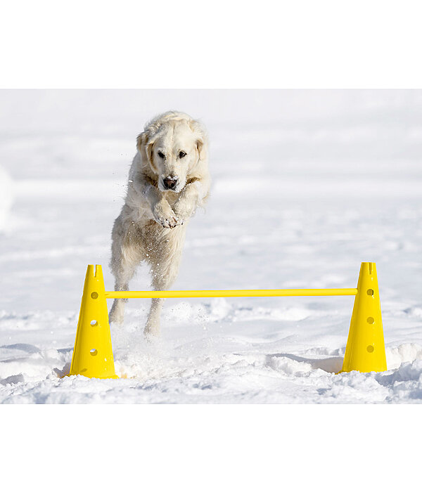 Agility Stangen