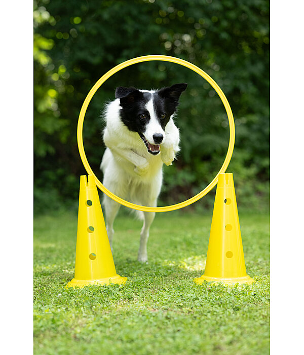 Agility Reifen