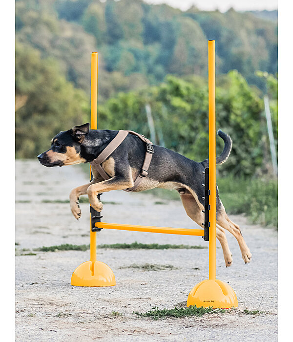 Agility Stangenauflagen