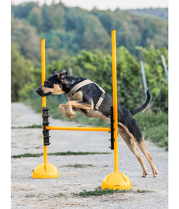 Agility Stangenauflagen