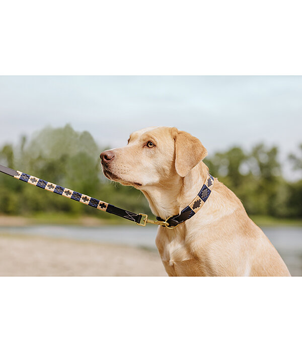 Set: Leder-Hundehalsband und -leine Polo Sports