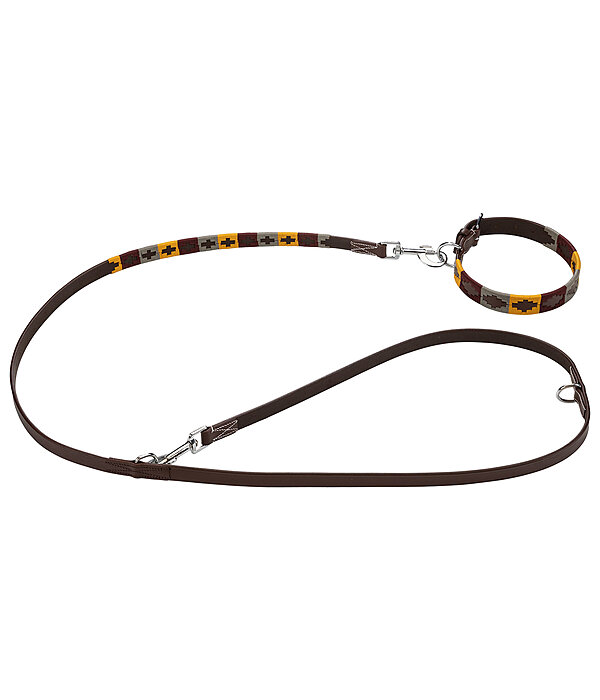 Set: Leder-Hundehalsband und -leine Polo Sports