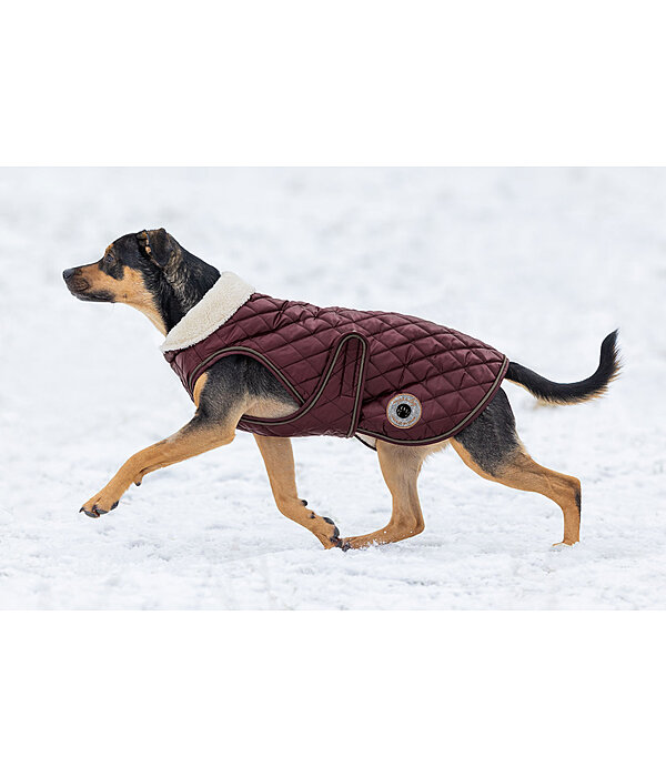 Hundemantel Archie mit Teddyfleece-Innenfutter, 160 g