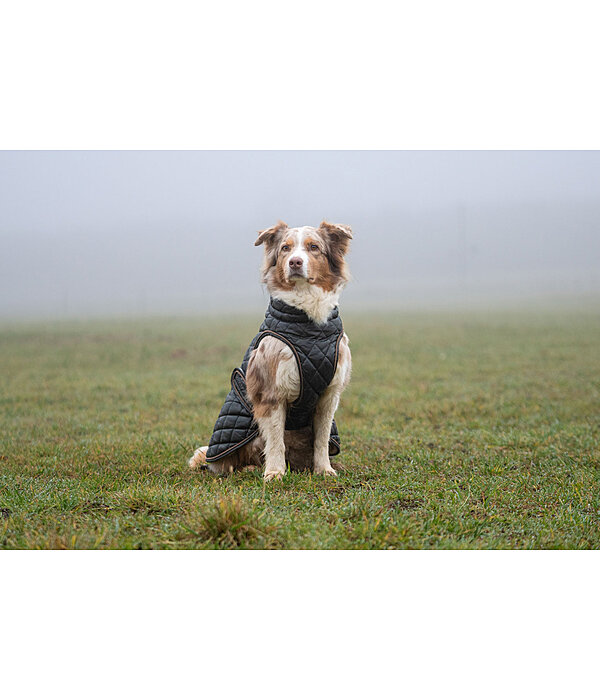 Hundemantel Archie mit Teddyfleece-Innenfutter, 160 g