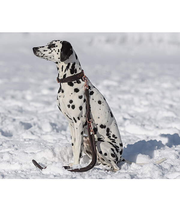 Runde Leder-Hundeleine Certaldo