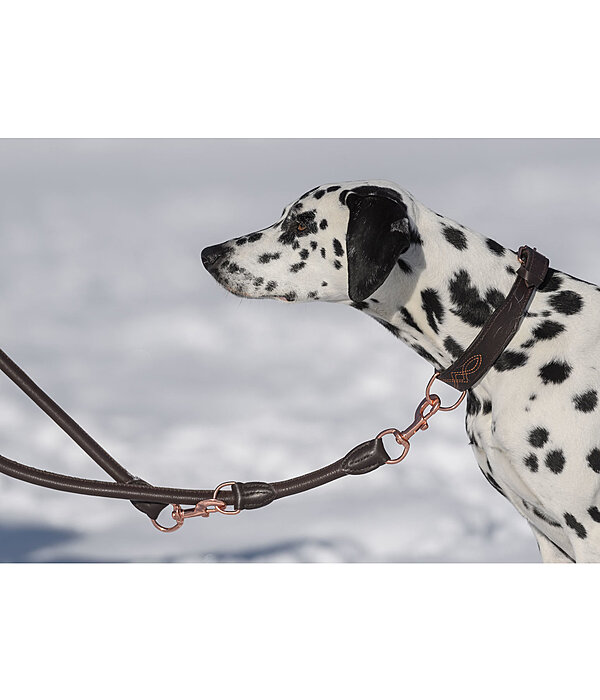 Runde Leder-Hundeleine Certaldo