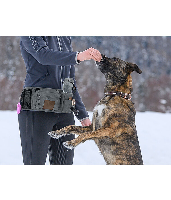 Hundetrainings-Bauchtasche Obedience