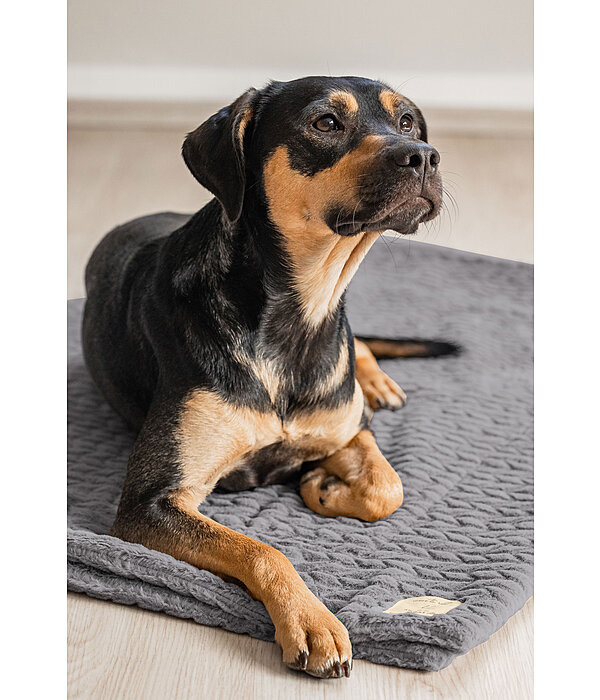 Hunde-Kuscheldecke Chill