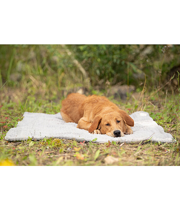 Hunde-Kuscheldecke Chill