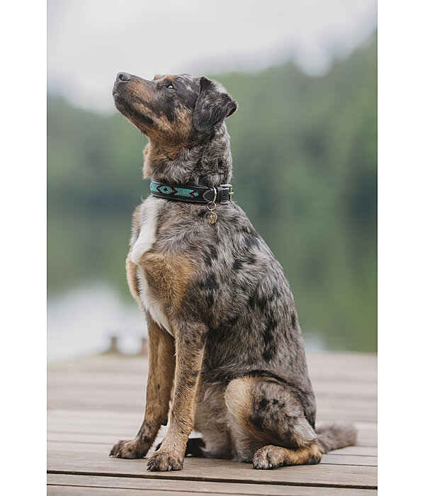Hunde-Lederhalsband Nashville
