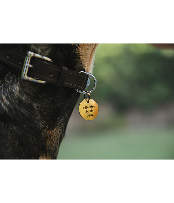 Charm fr Hunde Travel Buddy
