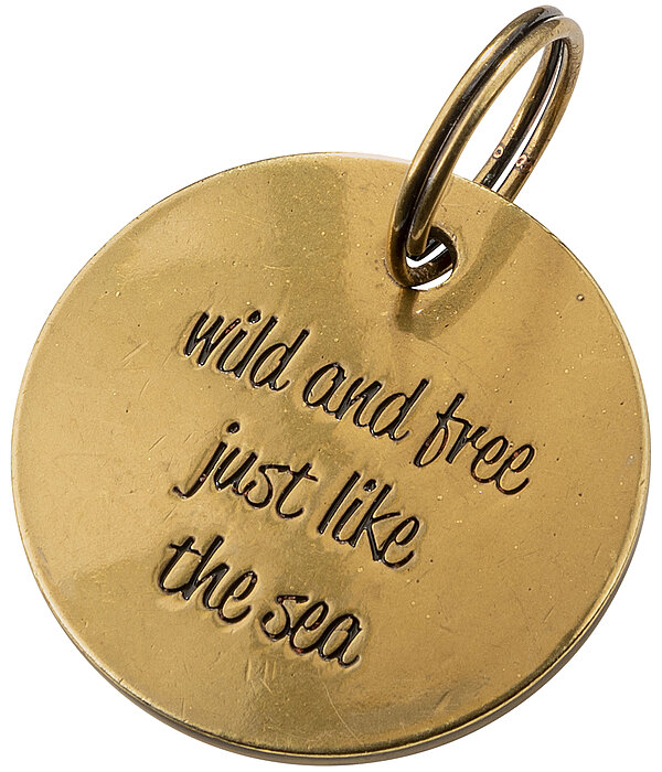 Charm fr Hunde Travel Buddy