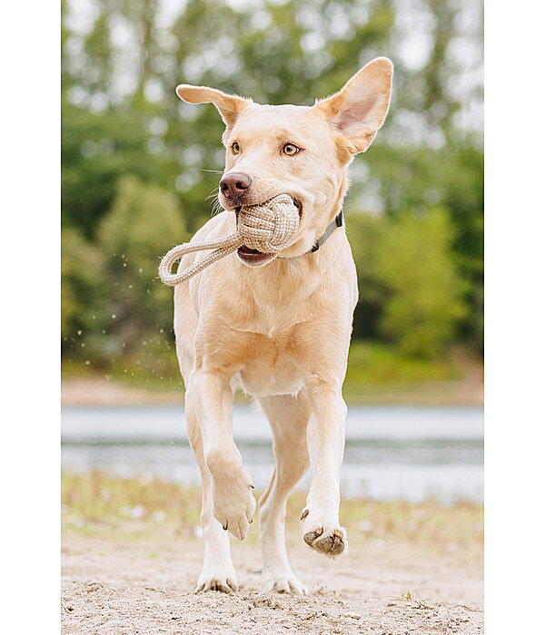 Tau-Spielzeug Jack für Hunde