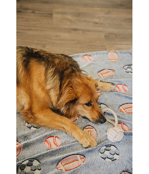 Tau-Spielzeug Jack für Hunde
