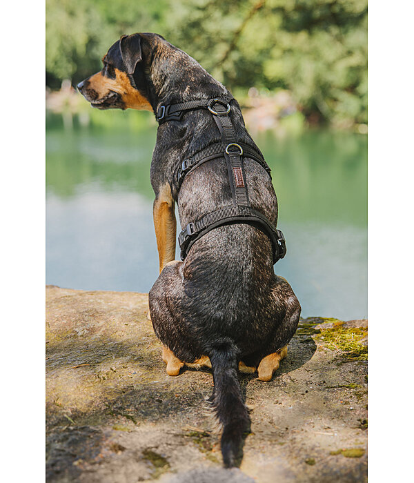Sicherheitsgeschirr Irmi fr Hunde