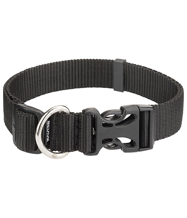 Hundehalsband Champ