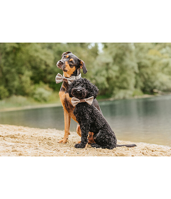 Fliege Tribal Love für Hunde