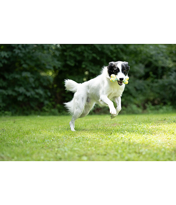 Wasserspielzeug Marble Bone  f�r Hunde