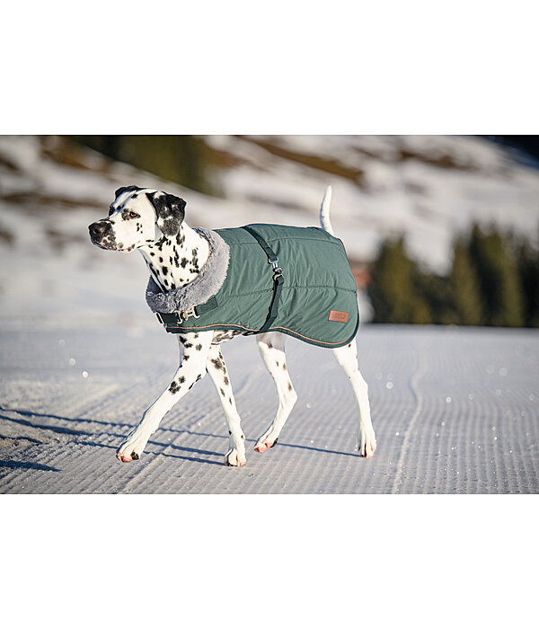 Winter-Hundemantel Gizmo mit Teddyfell-Innenfutter, 200 g