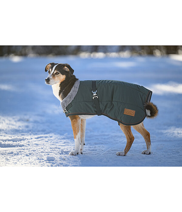 Winter-Hundemantel Gizmo mit Teddyfell-Innenfutter, 200 g
