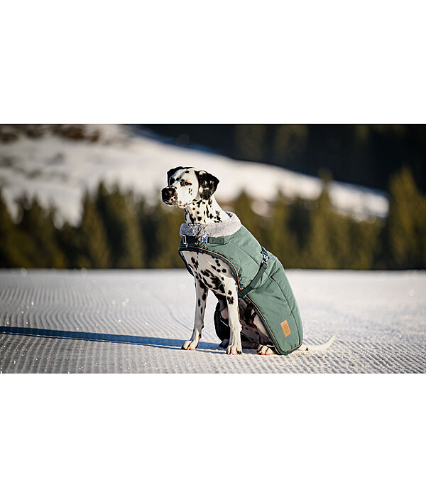 Winter-Hundemantel Gizmo mit Teddyfell-Innenfutter, 200 g