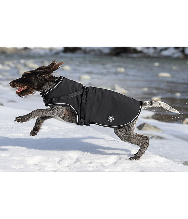 Softshell-Hundemantel Cruz mit integriertem Geschirr, 160 g